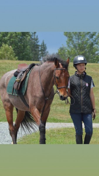 Photo de profil de frenchgaby