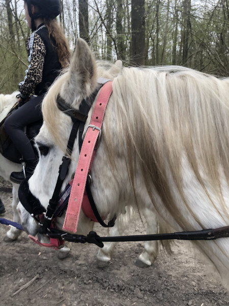 Photo de profil de ilenialatorre09
