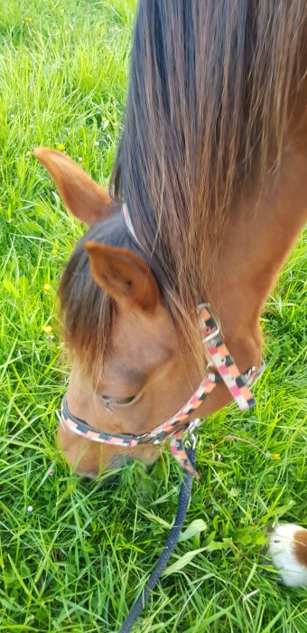 Photo de profil de agranjon3