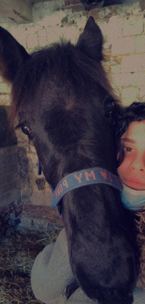 Photo de profil de gwenrenuy