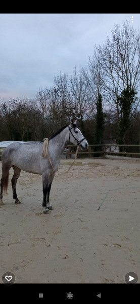Photo de profil de cyrvan