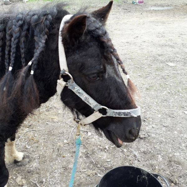 Photo de profil de claram133