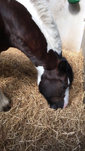 Photo de profil de avoyeah