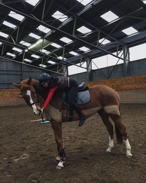 Photo de profil de estelleequi