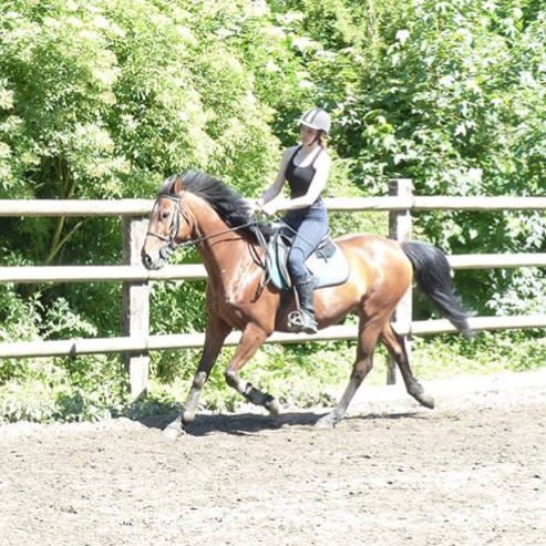 Photo de profil de heloise_csn