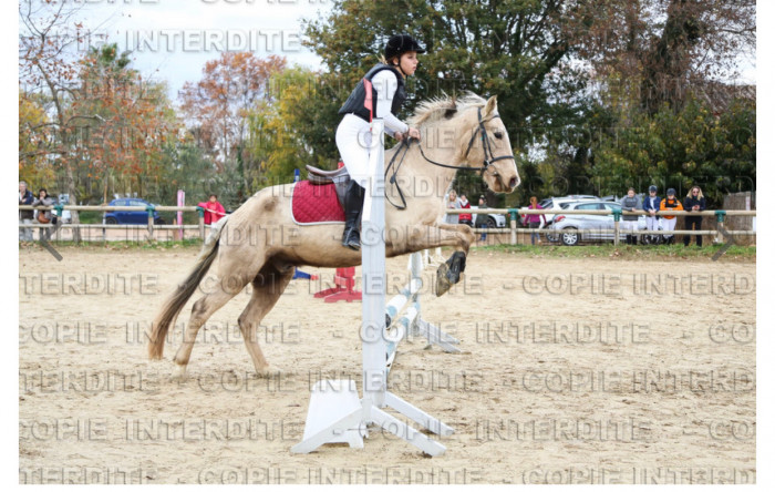 Photo de profil de lilou.cdr
