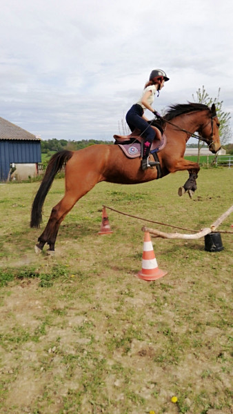 Photo de profil de carlacrazymoon