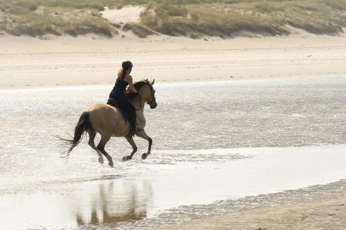 Photo de profil de samoshi