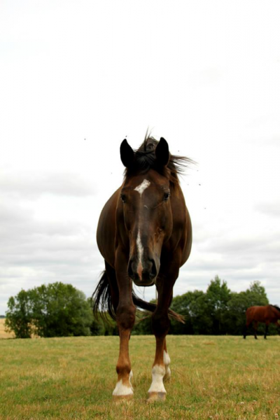 Photo de profil de ruby0