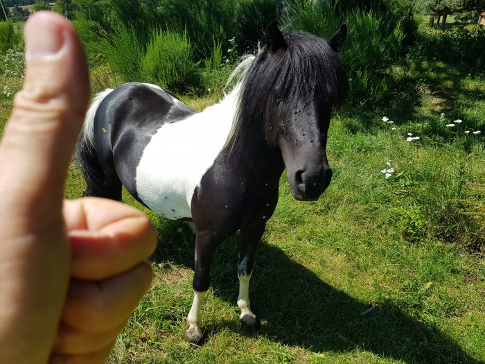 Photo de profil de adotit