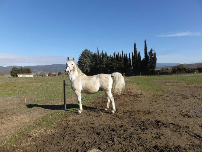 Photo de profil de tercio