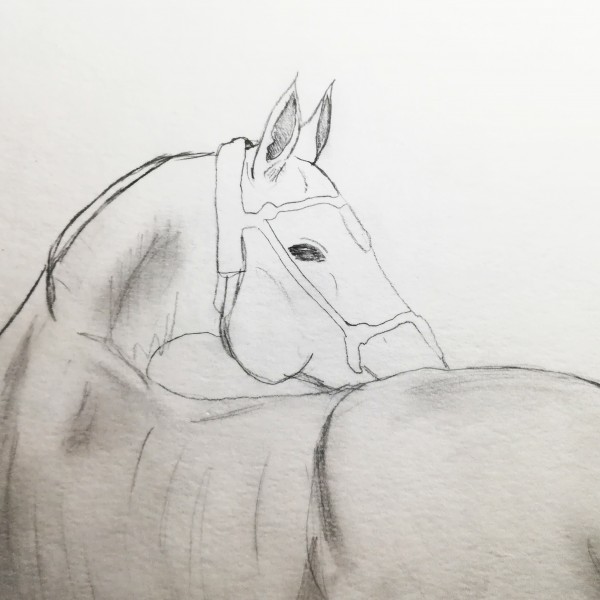 Photo de profil de rennardi