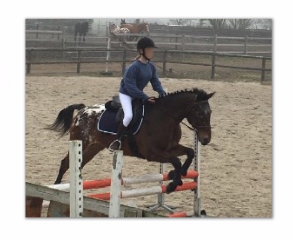 Photo de profil de chag4