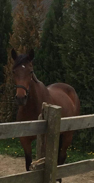 Photo de profil de babylone1606