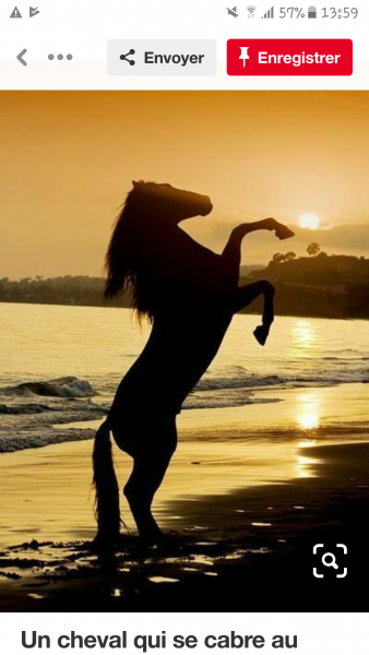 Photo de profil de liliblue21