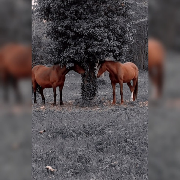 Photo de profil de maddie_wilson