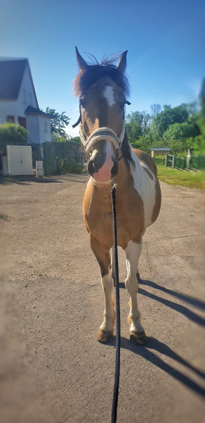 Photo de profil de cuiko