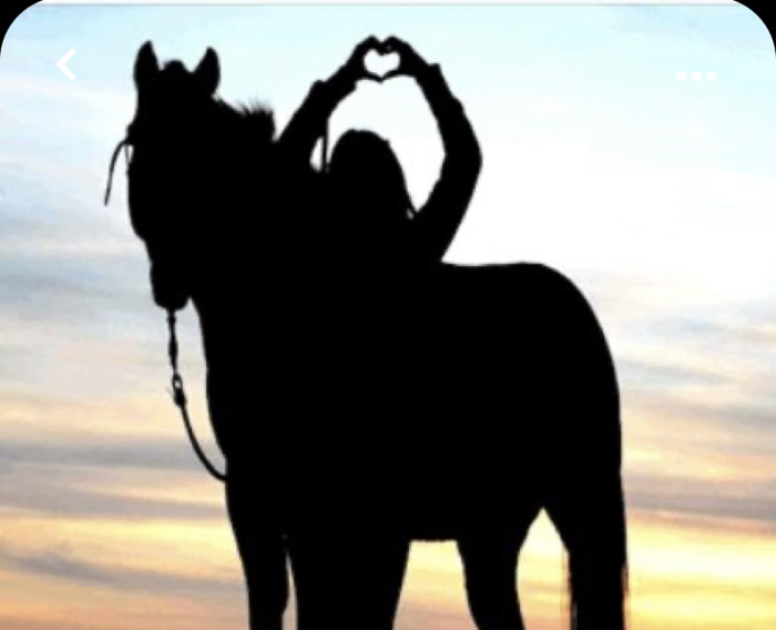 Photo de profil de amellouu91