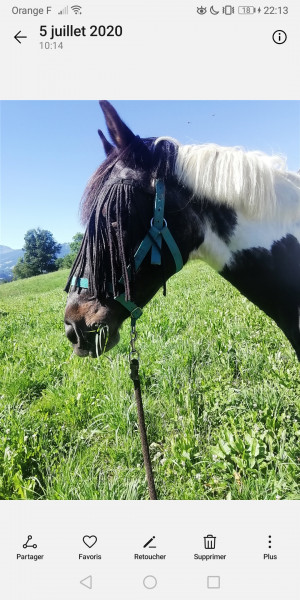 Photo de profil de poneytop