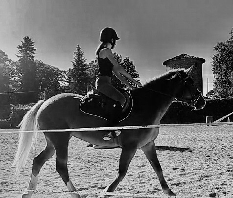 Photo de profil de marion_dd