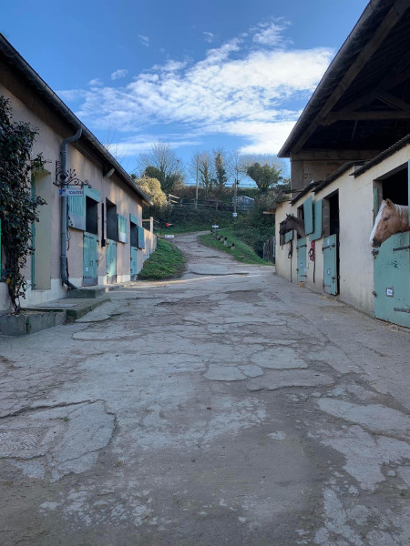 Photo de profil de equitationmlb