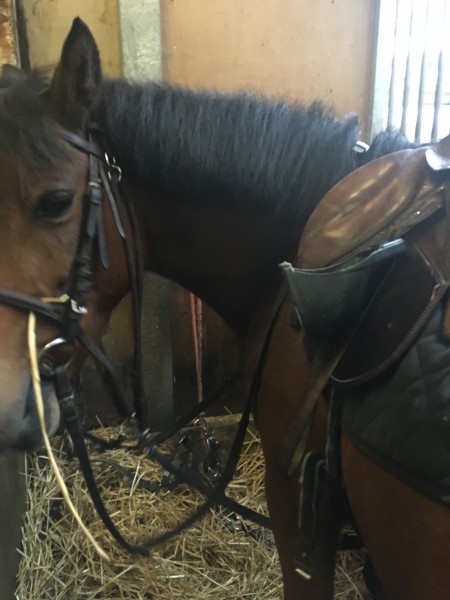 Photo de profil de zakygrisou