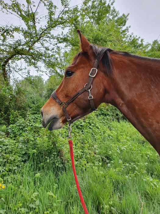 Photo de profil de sanala16