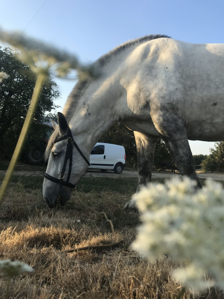 Photo de profil de chloe1309