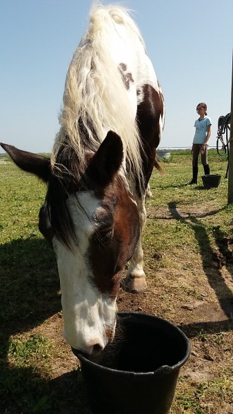 Photo de profil de cerise79