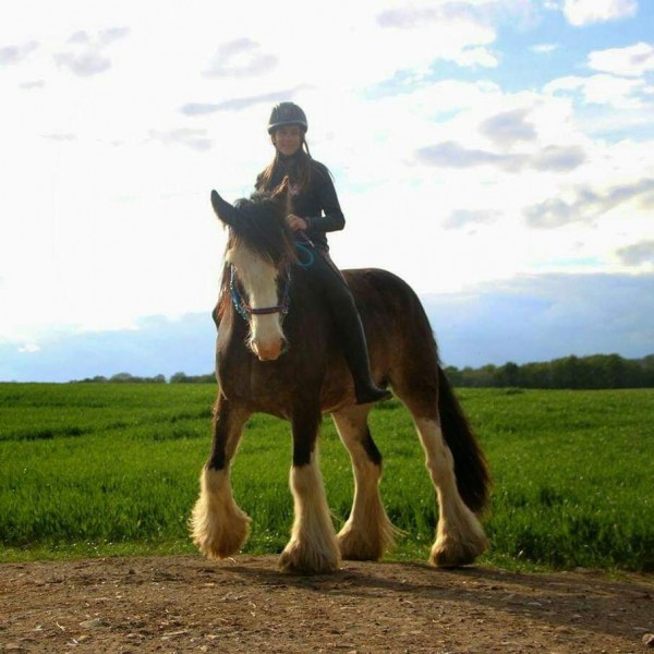 Photo de profil de amande1212