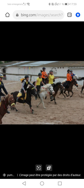 Photo de profil de lola_horse0