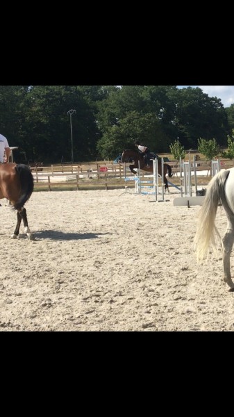 Photo de profil de bertille25