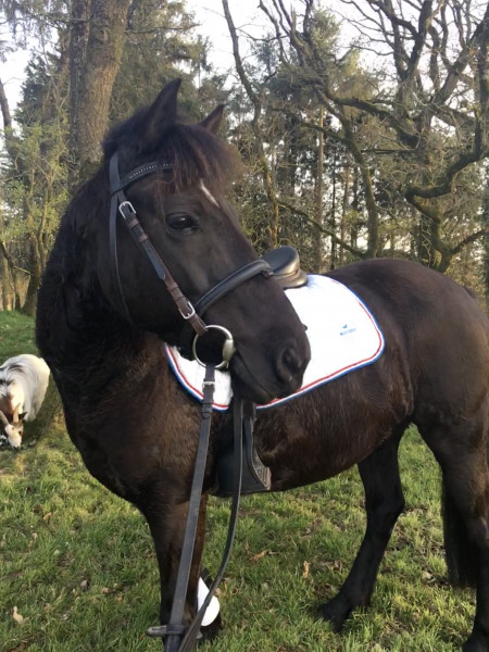 Photo de profil de candys