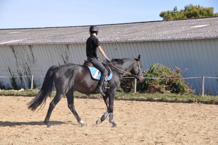 Photo de profil de vfrz93