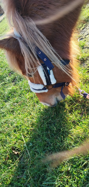 Photo de profil de louised