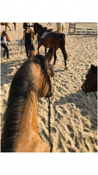 Photo de profil de dannah