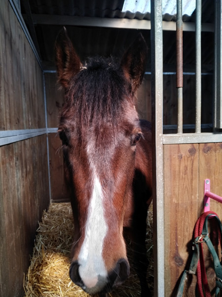 Photo de profil de 3ma.lou