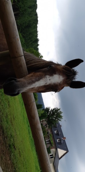 Photo de profil de louline