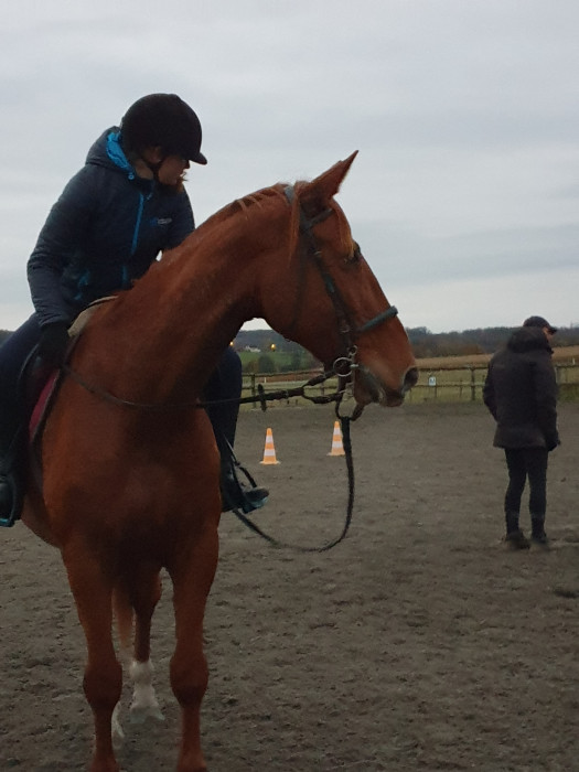 Photo de profil de ullanne