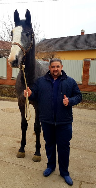 Photo de profil de horsestibor12