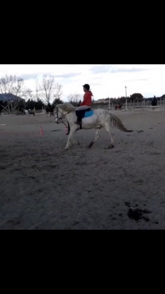 Photo de profil de andreadrd16