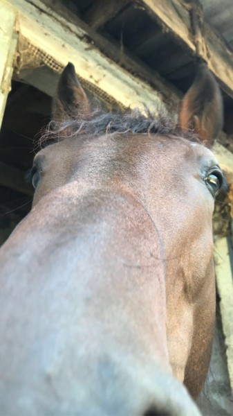 Photo de profil de maelysgft