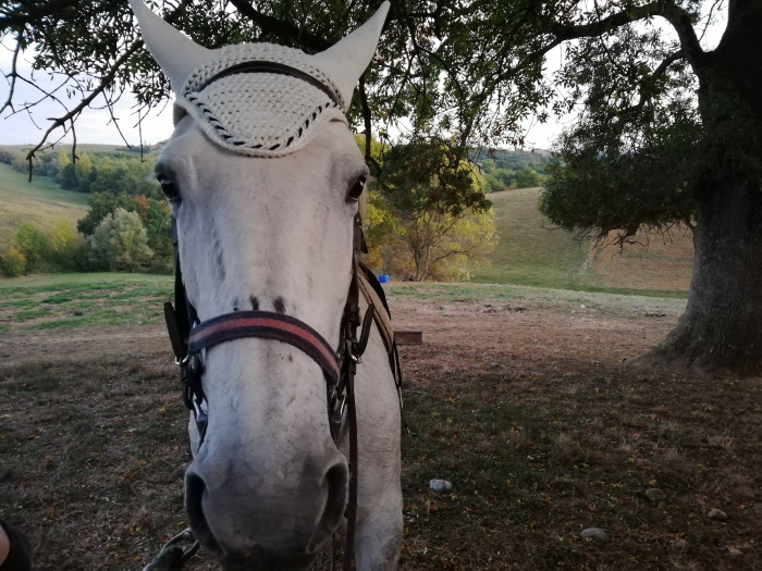 Photo de profil de lilirose2347