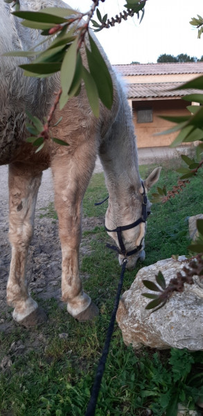 Photo de profil de kelyn26