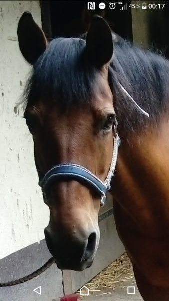 Photo de profil de barooze