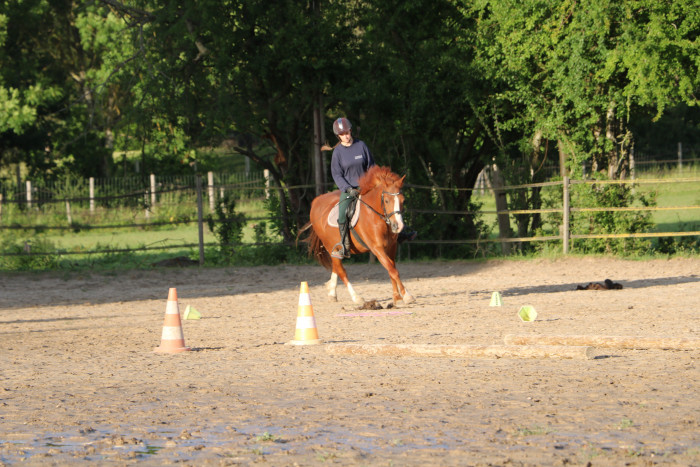 Photo de profil de heleme