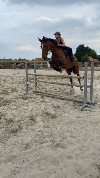 Photo de profil de llxbrt