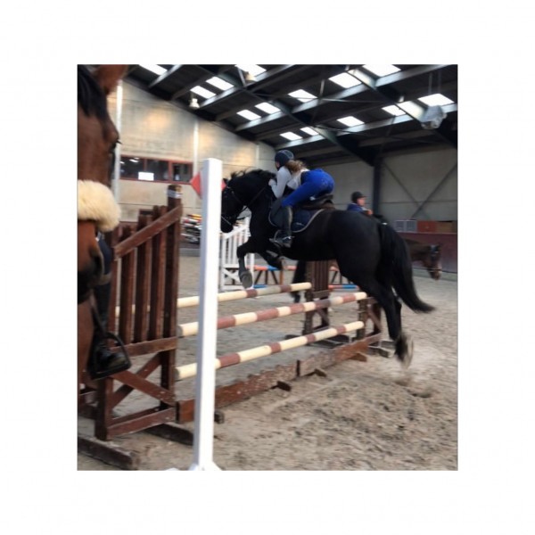 Photo de profil de fionaartn15