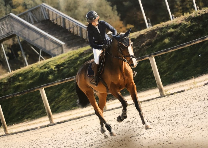 Photo de profil de lauragoulet