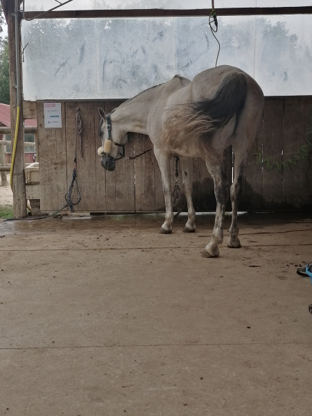 Photo de profil de cam._.cam